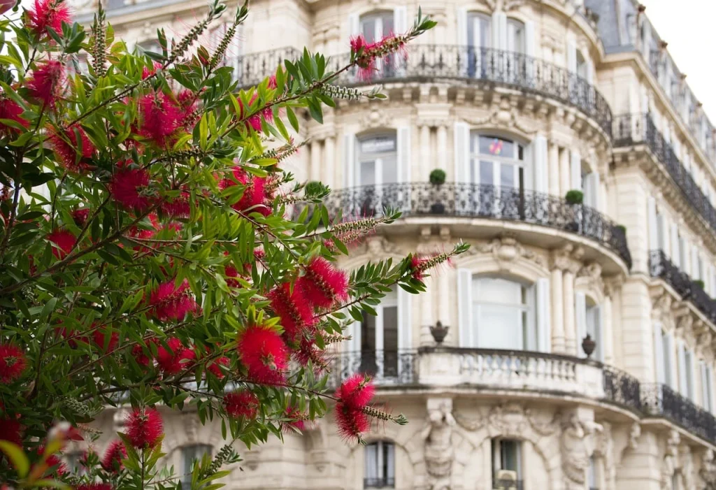 Jolie façade d'immeuble dans le centre ville de Montpellier